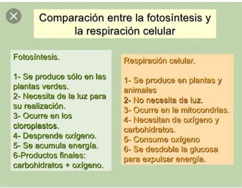 Fotosíntesis y Respiración Celular, Diferencias en Cuadros Comparativos - Cuadro Comparativo ...