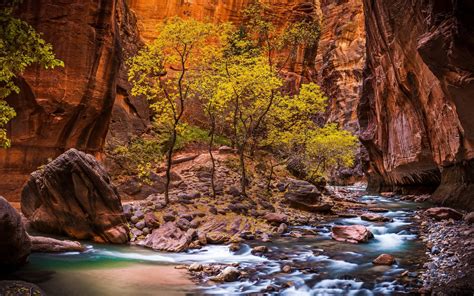 landscape, Nature, Zion National Park, River, Canyon, Utah, Trees ...