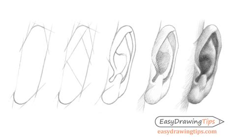 How To Draw Realistic Ears - Considerationhire Doralutz