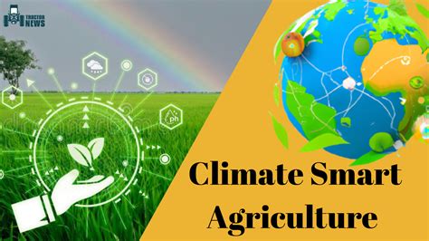 Climate Smart Agriculture- Why Is It So Important For Smallholder Farmers?