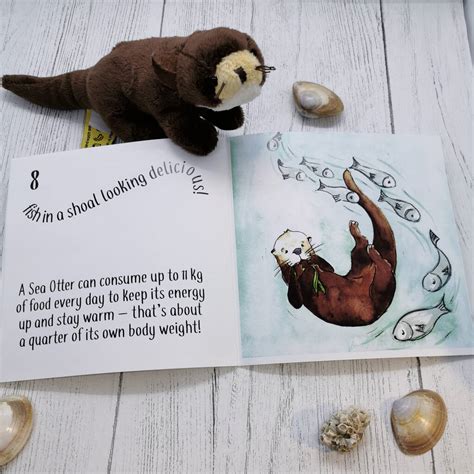 Sea Otter 123 Counting Book For Young Children By Ella Paton Illustrates