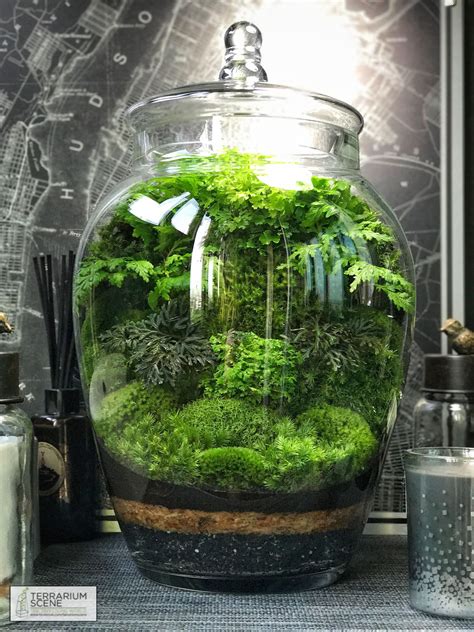 Unique Closed Glass Terrarium Ideas for Plant #Houseplants # ...