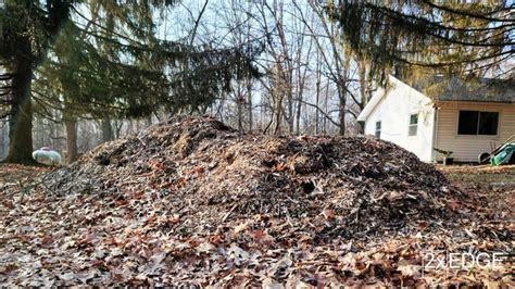 Bark vs Mulch: What Is the Difference (and How Do Wood Chips Fit Into #N# – 2xEDGE