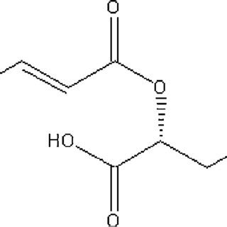 (PDF) Rosmarinic acid as the effective compound in Cordia americana