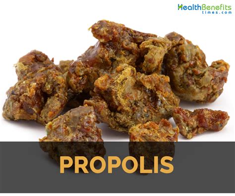 Propolis Facts and Health Benefits