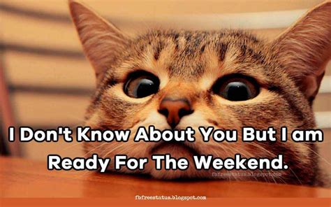 I Don't Know About You But I am Ready For The Weekend. Happy Weekend ...