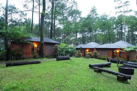 Menyelami Keindahan Terminal Wisata Grafika Cikole di Kaki Gunung Tangkuban Perahu