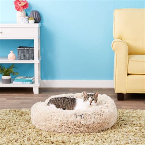 6 Best Cat Beds For Large Cats In 2023 - Cat Mania