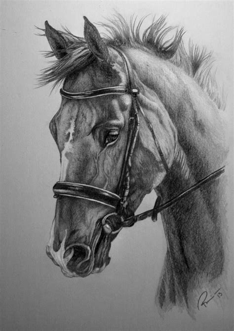 Horse Commission by NutLu 610871136938788750 | Realistic animal drawings, Animal drawings ...