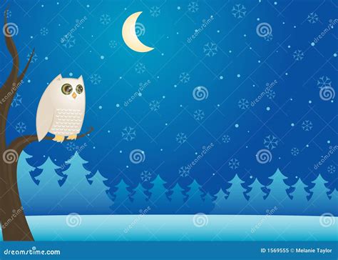 Snowy Winter Owl stock vector. Illustration of holiday - 1569555