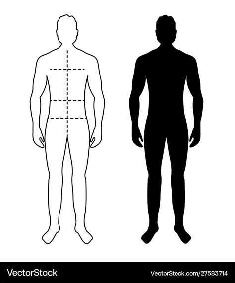 Man anatomy silhouette size human body full Vector Image