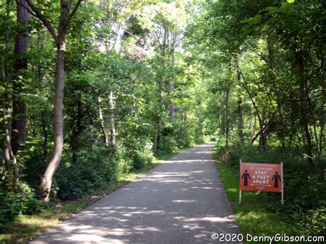 Tunnel of Trees | Denny G's Road Trips Blog