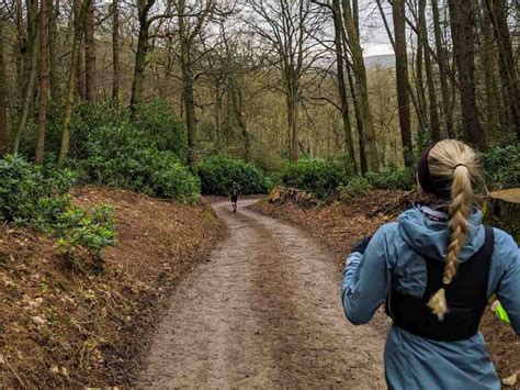 How to Start Trail Running: The Joy of Off-Road Runs