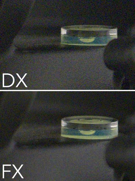 Nikon DX vs FX - A Detailed Analysis and What You Need to Know