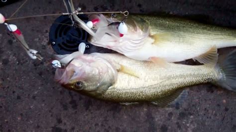 Alabama Rig Bass Fishing. - YouTube