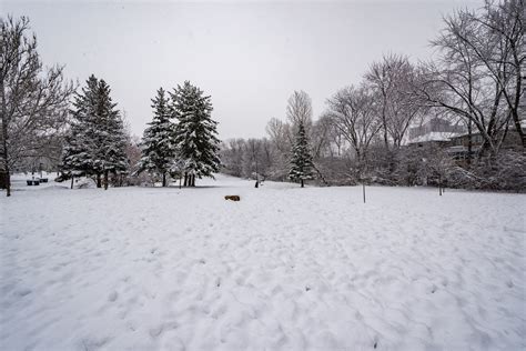 Willowdale Park, Toronto, Ontario, Canada | Like what I do? … | Flickr