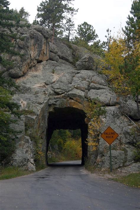 Custer State Park South Dakota | Custer State Park is a stat… | Flickr