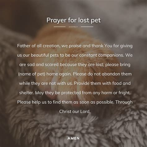 Prayer for Lost Pet for protection and safety