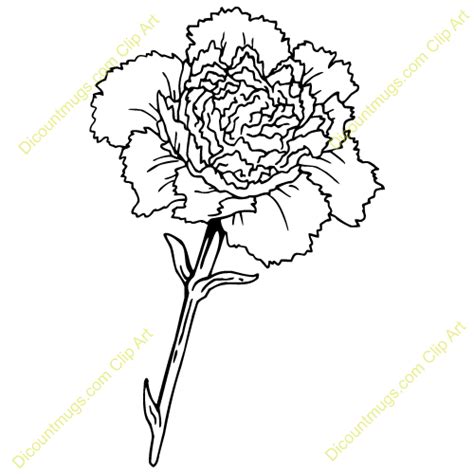 Carnation flower clipart - Clipground