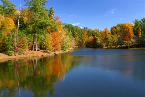 Top Picks for Fall Foliage Viewing from Scenic America | Scenic America