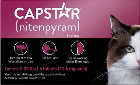 Best Cat Flea Treatment: Top 5 Medicines Most Recommended By Feline Experts