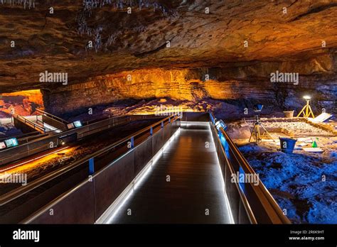 Altamira Cave, UNESCO World Heritage Site, Cantabria, Spain, Europe ...