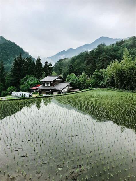 Visit japan s historic and beautiful rice fields – Artofit