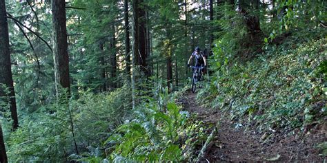 Lost Creek Trail + Sawtooth Trail + Hardesty Trail Loop | Outdoor Project