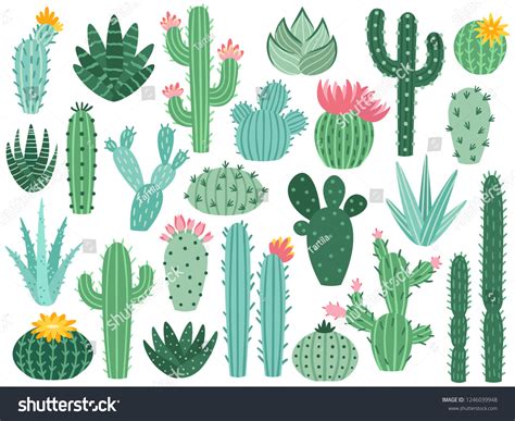 659,692 Cactus Flower Images, Stock Photos & Vectors | Shutterstock