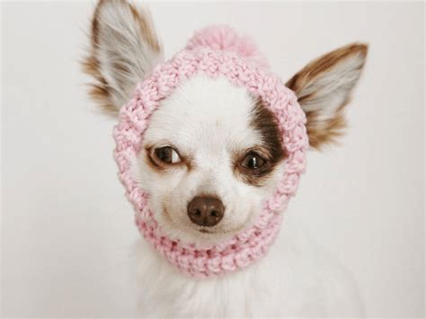 10 Crochet Dog Hat Patterns - Crochet News