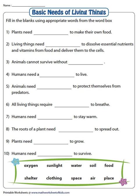 Needs of Plants and Animals Worksheets | Social studies worksheets, 2nd ...