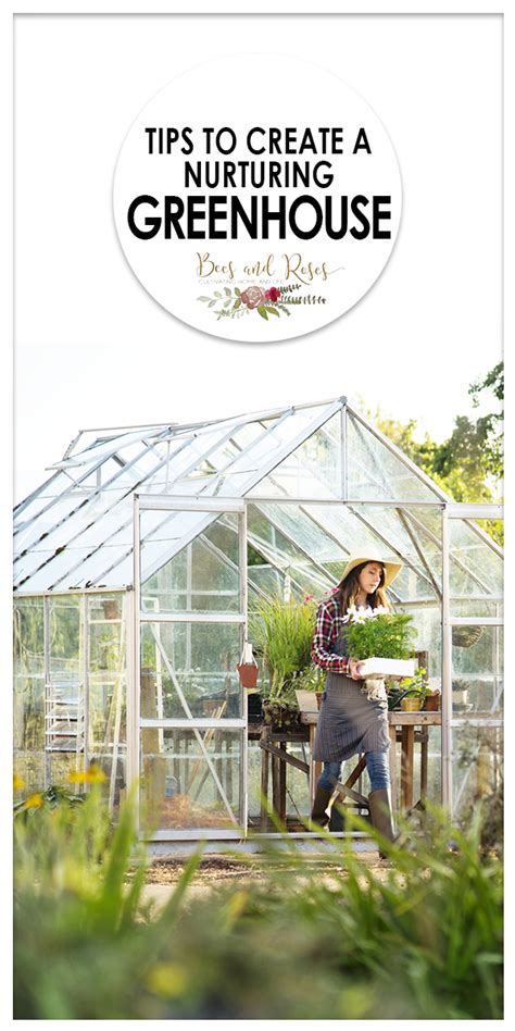 Tips To Create A Nurturing Greenhouse