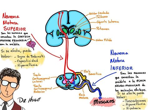 NMS Y NMI - Mind Map