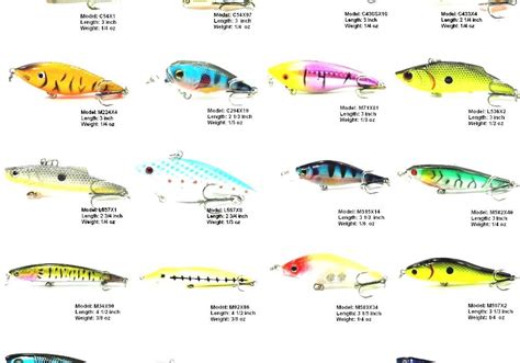 Fishing Bait - Types Of Fish Bait