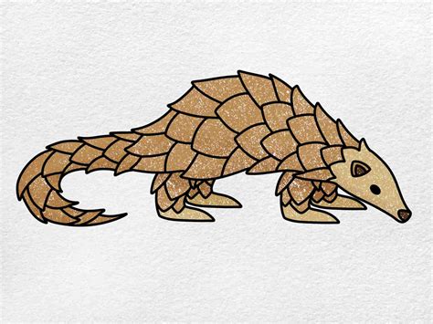 How to Draw a Pangolin - HelloArtsy