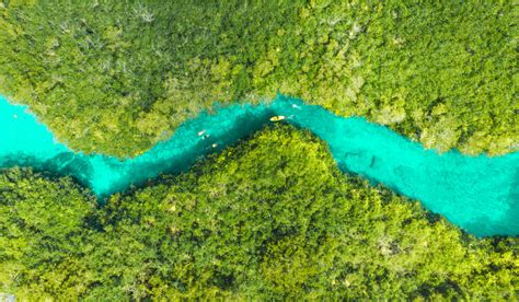 Five of the Best Off-the-Beaten-Path Cenotes | Loco Gringo