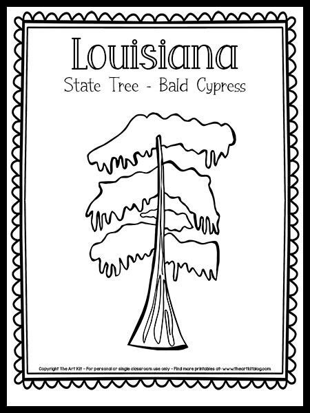 Louisiana State Tree Coloring Page (Bald Cypress) {FREE Printable!}