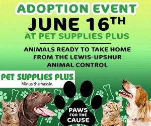 Paws for the Cause | WBOY.com