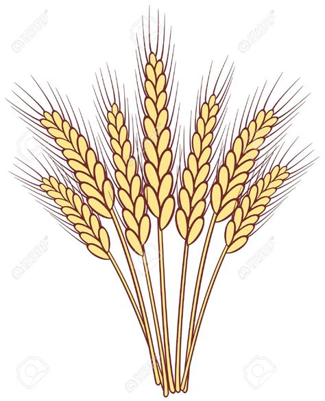 Stalk wheat clipart 20 free Cliparts | Download images on Clipground 2020