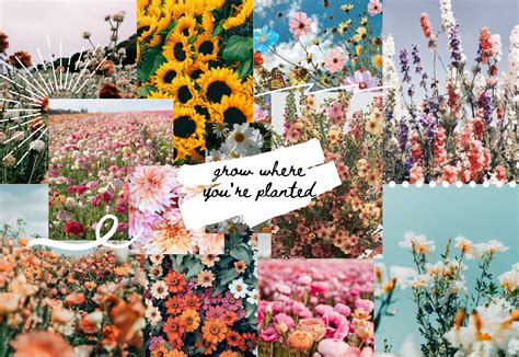 Share more than 57 spring wallpaper aesthetic - in.cdgdbentre