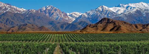 Travel to Mendoza. Snow-Capped Mountains & Vines - DMC Argentina