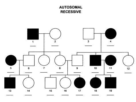 Autosomal Recessive | Pedigree chart, Biology notes, Biology