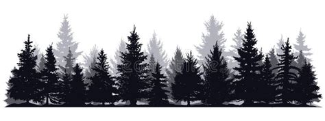 Pine Trees Silhouettes. Evergreen Coniferous Forest Silhouette, Nature ...