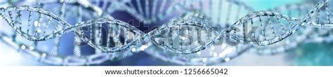 41,045 Banner Dna Images, Stock Photos & Vectors | Shutterstock