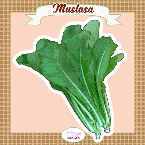 Mustard Greens Drawing - Drawing.rjuuc.edu.np