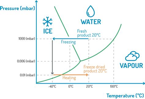 About freeze drying | Freeze drying process