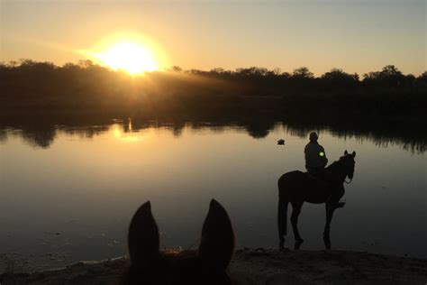 Big 5 Safari | South Africa Horse Riding Safari | Unicorn Trails