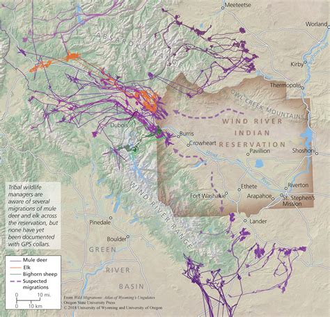 Managing Game on the Wind River Reservation | WyoHistory.org