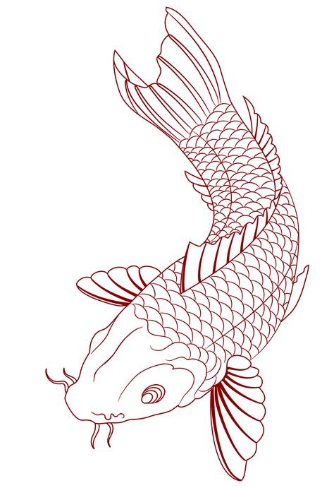 Japanese Koi Fish Drawing at GetDrawings | Free download