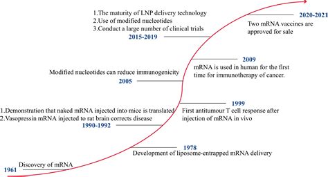 Frontiers | Recent Advances in the Molecular Design and Delivery Technology of mRNA for ...